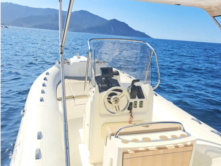 Alquiler Neumática Capelli con o sin  título de navegación