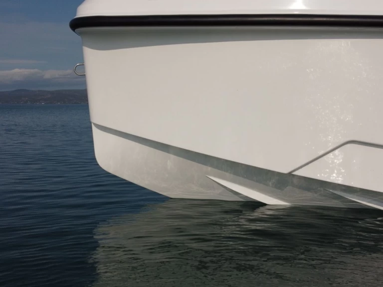 Alquiler Lancha Protagon con o sin  título de navegación