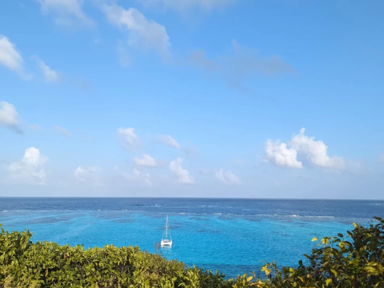 Alquiler Catamarán Nautitech con o sin  título de navegación