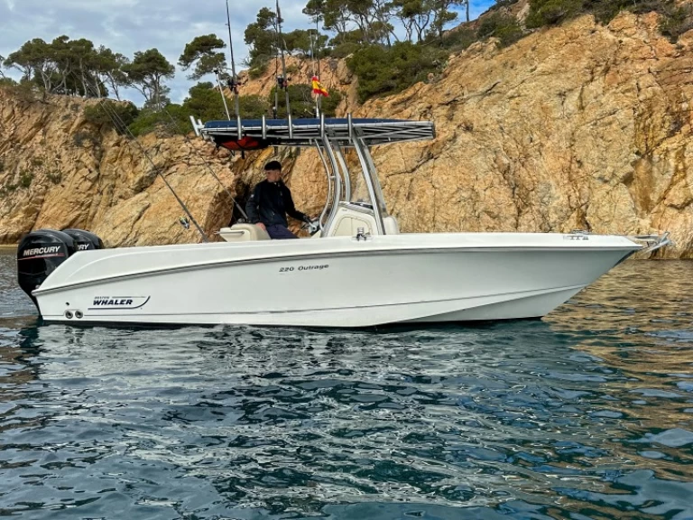 Alquiler Lancha Boston Whaler con o sin  título de navegación