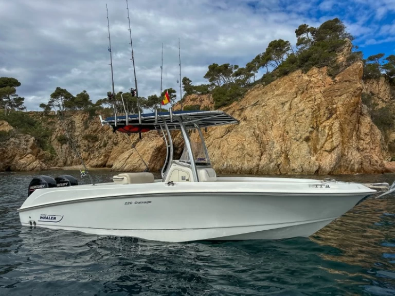 Alquiler de Lancha, con o sin patrón Boston Whaler Marina de Palamós