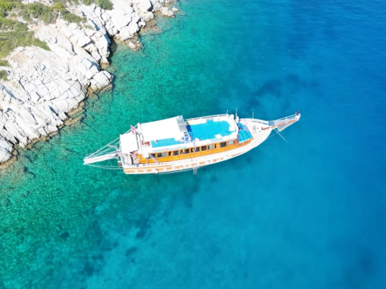 Alquiler Lancha Custom Made con o sin  título de navegación