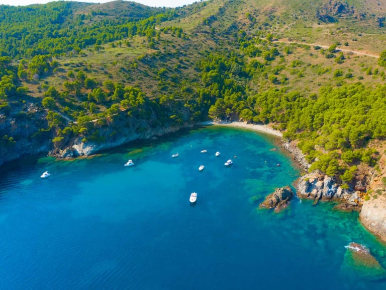 Lancha para alquilar Roses al mejor precio