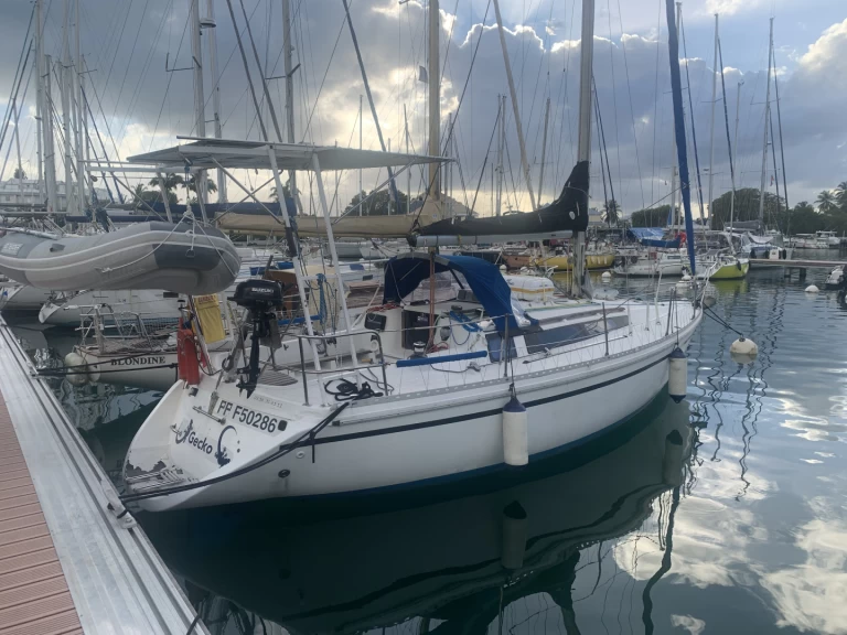 Alquiler de Velero, con o sin patrón Gibert Marine Le Gosier