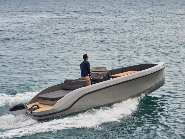 Alquiler de Lancha, con o sin patrón Rand Los Gigantes