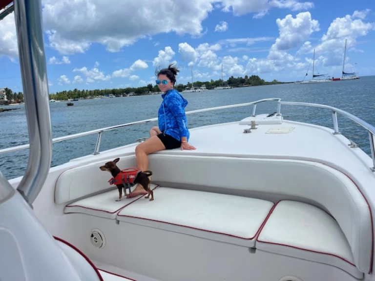 Alquiler Bayahíbe - Yamaha Yamaha VX en SamBoat