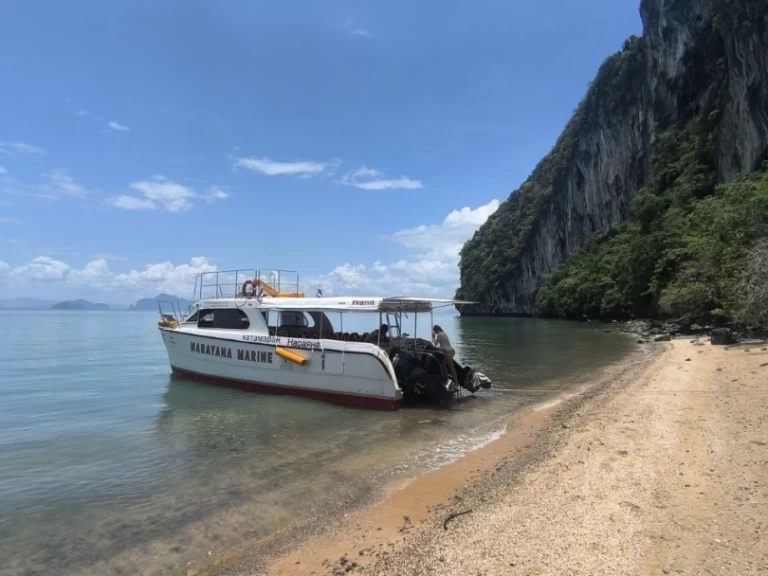 Alquiler Catamarán Austhai At con o sin  título de navegación