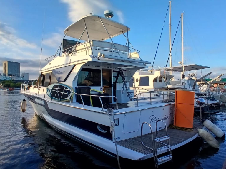 Alquiler de Lancha, con o sin patrón Capelli Río de Janeiro