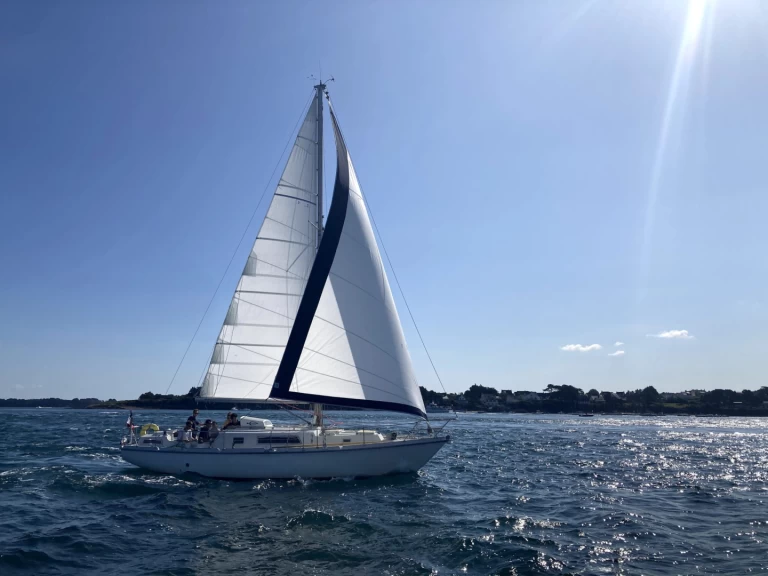 Alquiler de Amel kirk 36 en Saint-Mandrier-sur-Mer