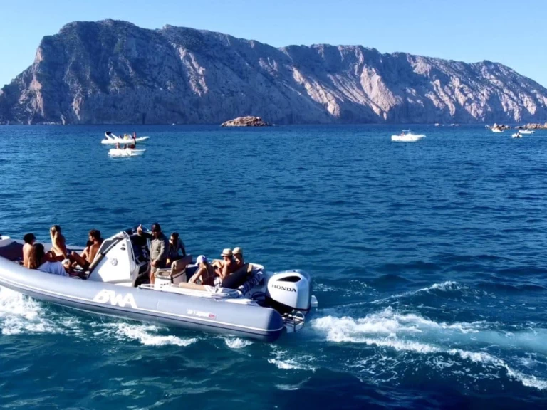 Alquiler de Bwa Sport 26 GT en Porto Rotondo