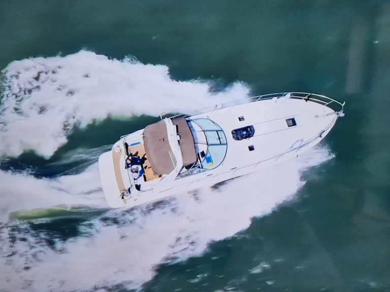 Alquiler Lancha Sea Ray con o sin  título de navegación