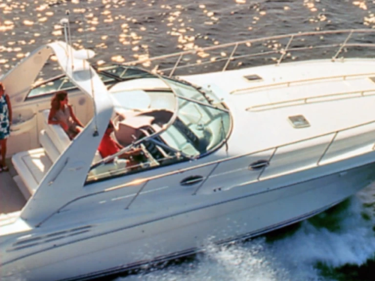 Alquiler Lancha Sea Ray con o sin  título de navegación