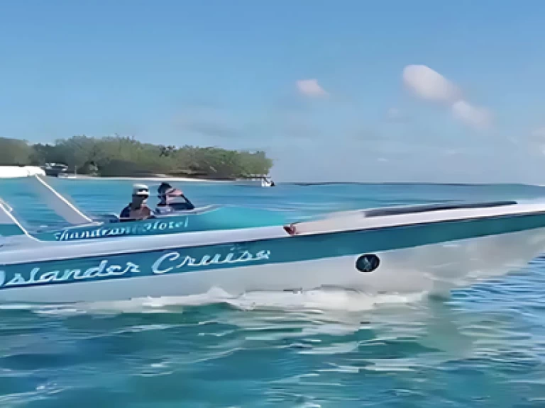 Alquiler de Lancha, con o sin patrón Cobra Blue bay