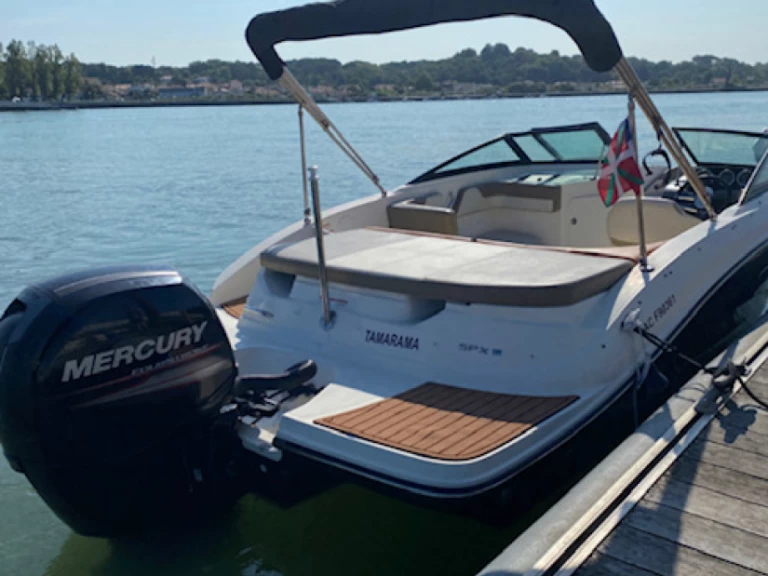 Alquiler Anglet - Sea Ray Sea Ray 19 SPX OB en SamBoat
