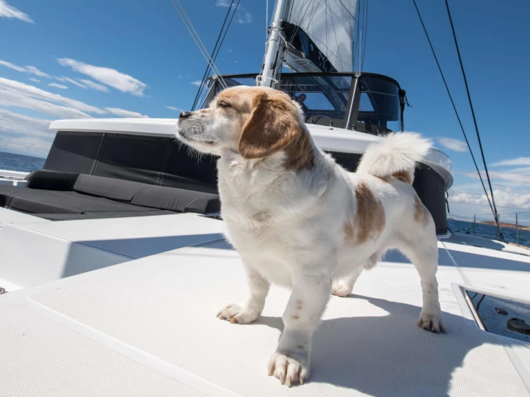 Yate de lujo para alquilar Lávrio al mejor precio