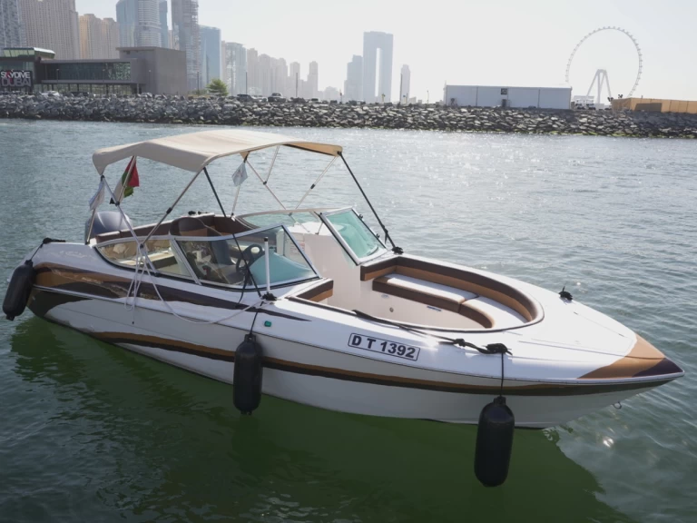 Alquiler de Lancha, con o sin patrón Sealine Dubai