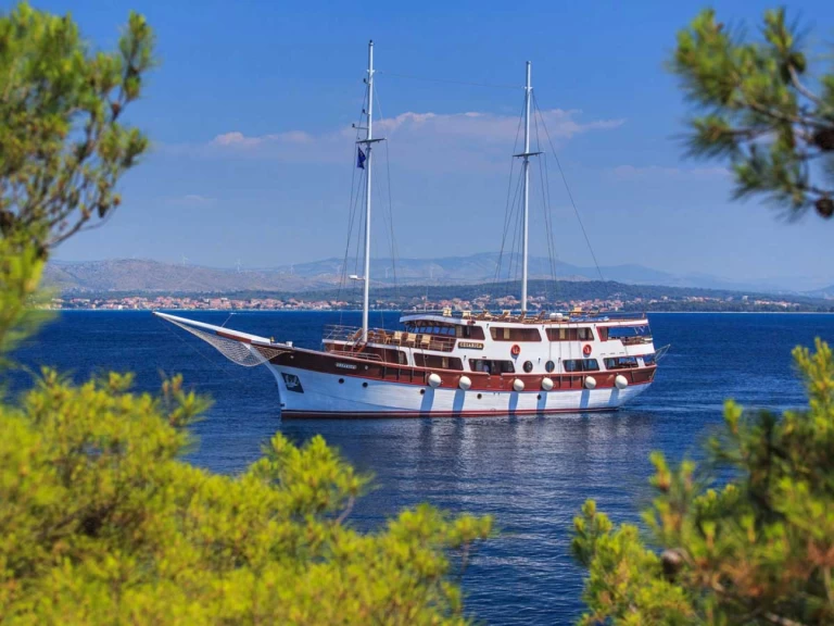 Alquiler Velero  con o sin  título de navegación