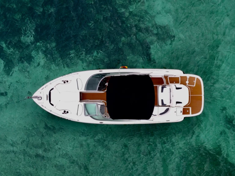 Alquiler Lancha Monterey con o sin  título de navegación