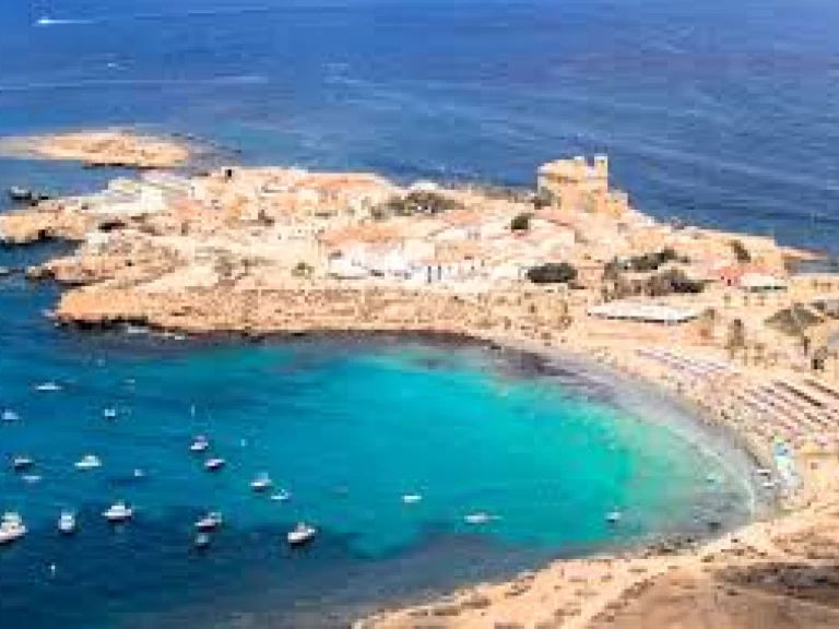 Alquiler de Lancha, con o sin patrón Searib's Puerto de Alicante