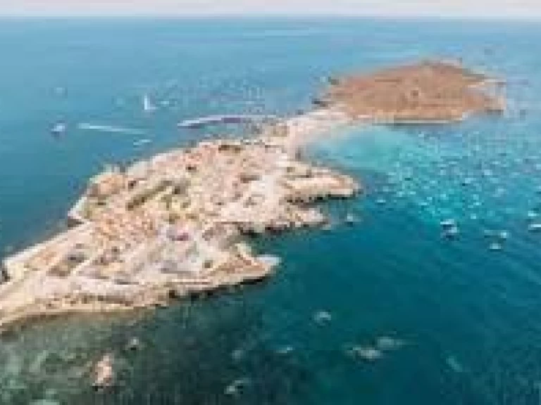 Alquiler Lancha Searib's con o sin  título de navegación