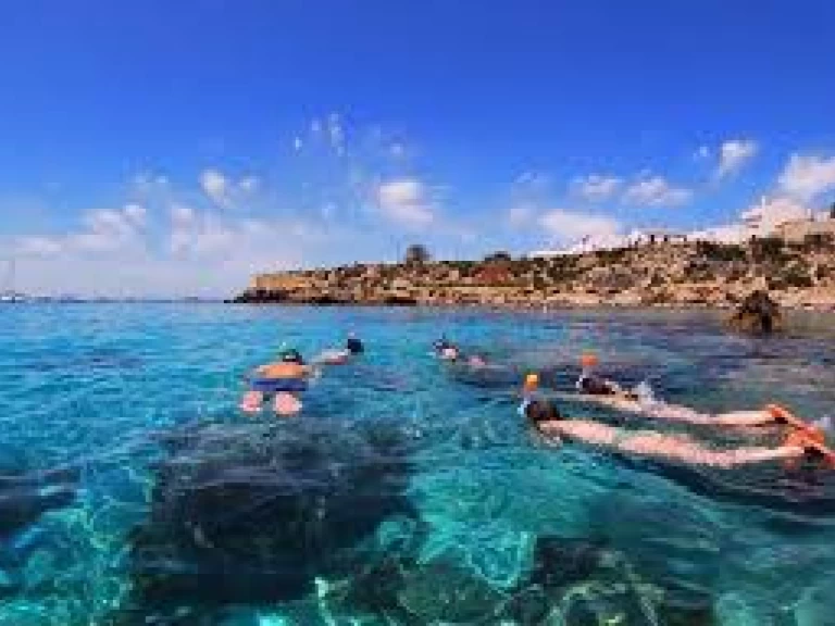 Alquiler Lancha en Puerto de Alicante - Searib's Searib's Open Fishing 580