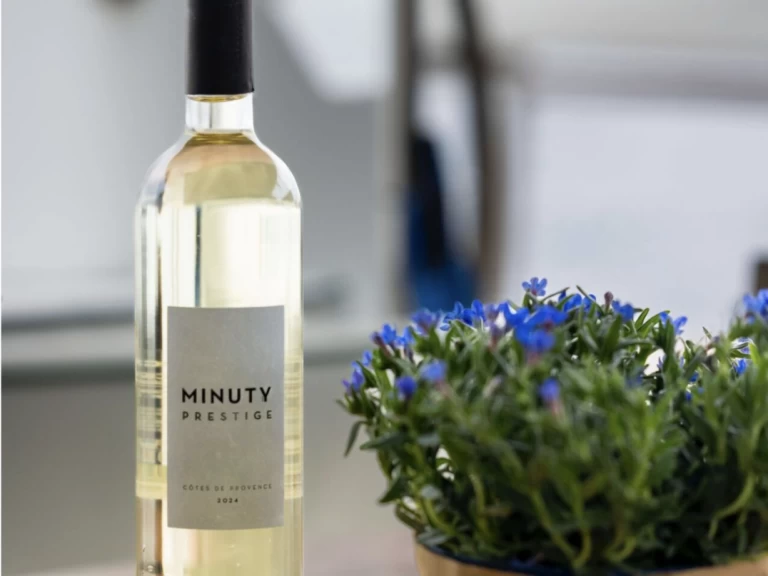 Alquiler Catamarán Lagoon con o sin  título de navegación