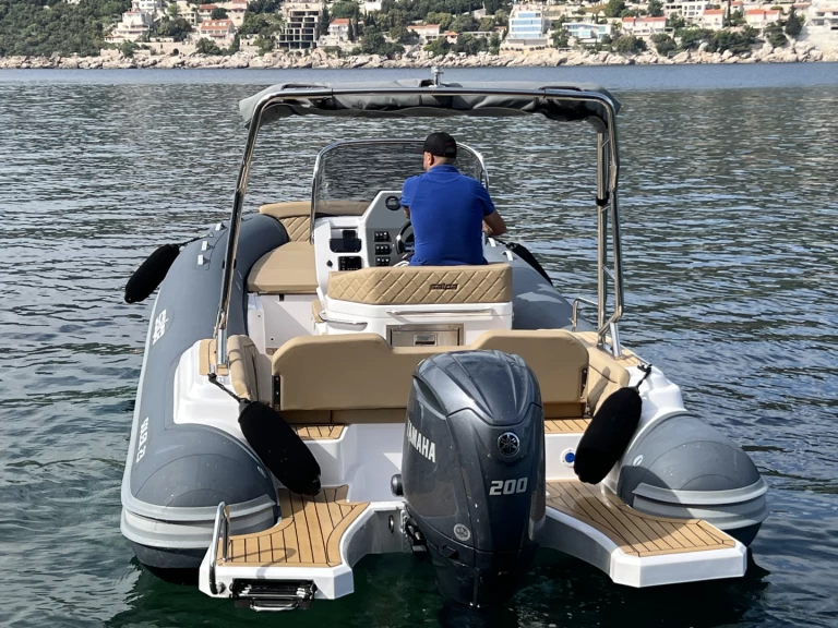 Alquiler Neumática Salpa con o sin  título de navegación