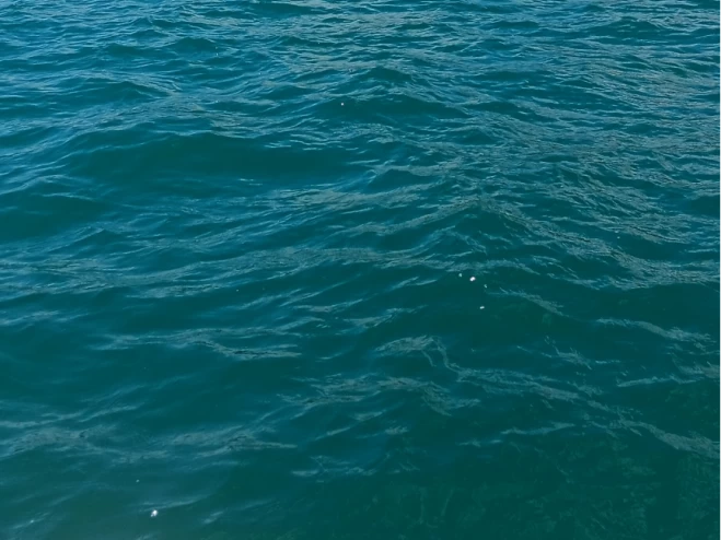 Alquiler de Bénéteau Flyer 650 WA en Le Cap d'Agde