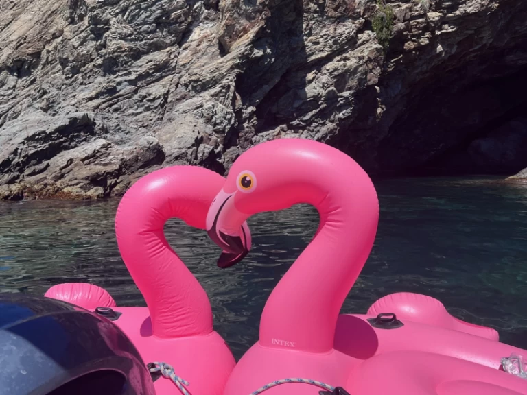 Capelli Tempest 700 de alquiler a Argelès-sur-Mer