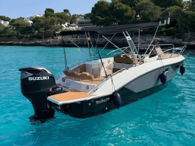 Alquiler Lancha Trimarchi con o sin  título de navegación