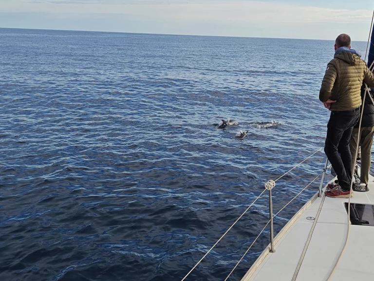 Velero para alquilar Saint-Cyprien-Plage al mejor precio