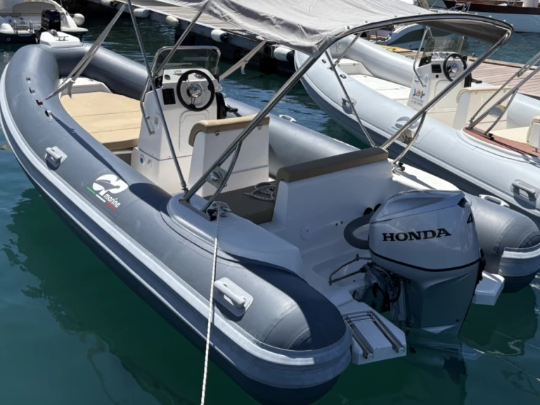 Alquiler Neumática Predator con o sin  título de navegación