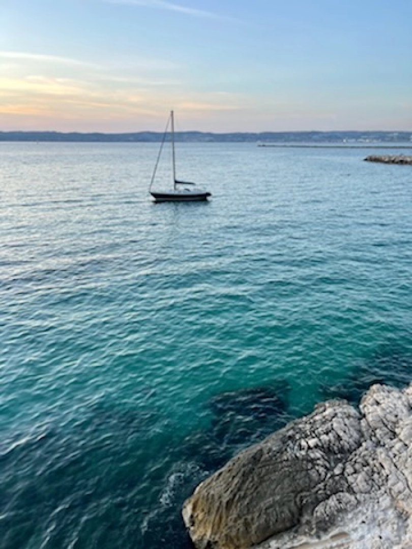 Alquiler Velero Contest con o sin  título de navegación