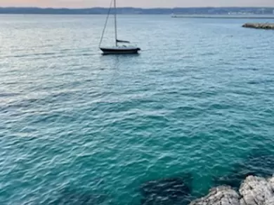 Alquiler Velero Contest con o sin  título de navegación