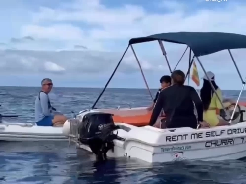 Alquiler Adeje - Mareti 460 en SamBoat