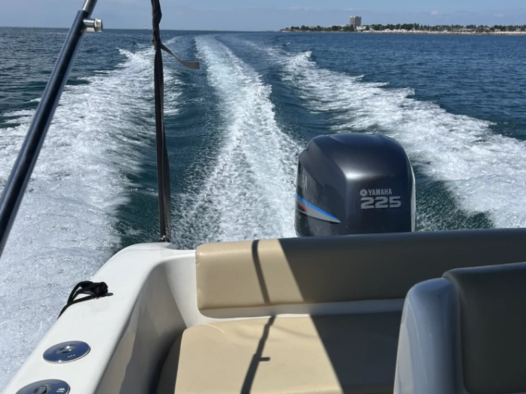 Alquiler Lancha tecnofiber con o sin  título de navegación