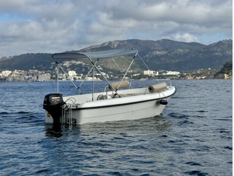 Alquiler de Lancha, con o sin patrón Estable Santa Ponsa