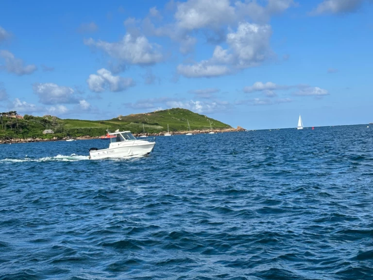 Alquiler Lancha en Trébeurden - Sessa Marine SESSA 550