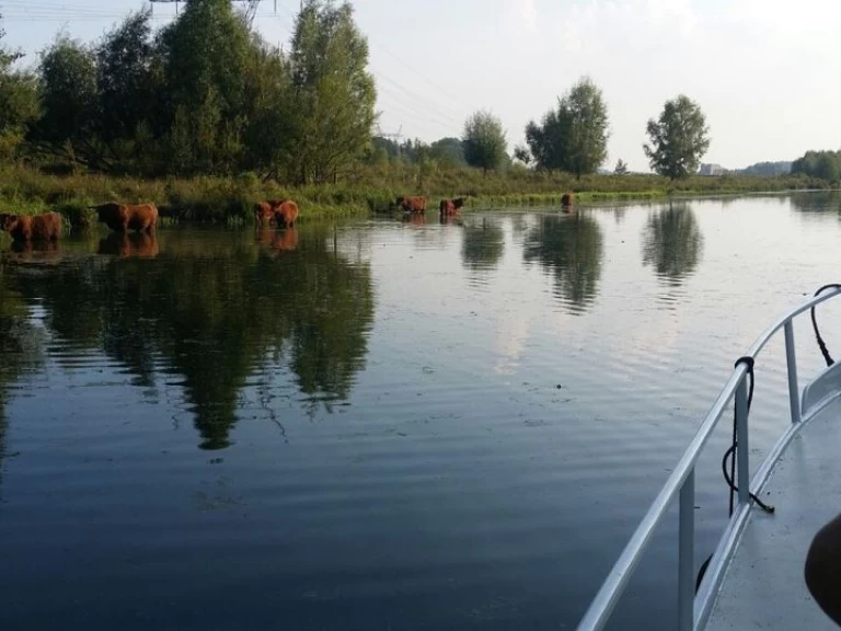 Lancha para alquilar Bunschoten al mejor precio