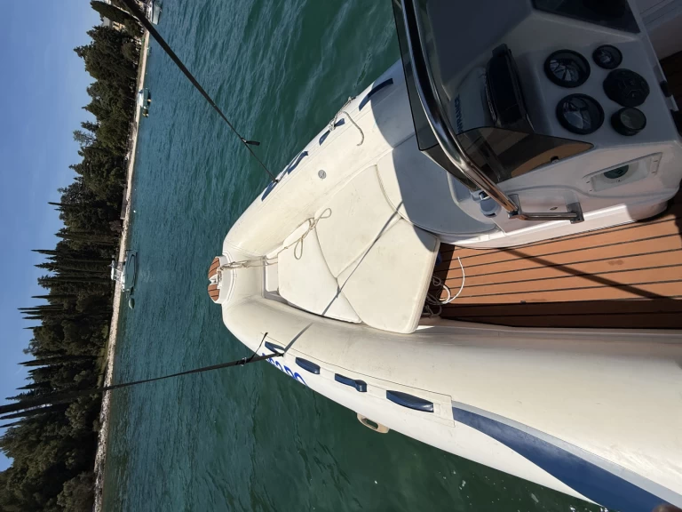 Alquiler Neumática Tiger con o sin  título de navegación