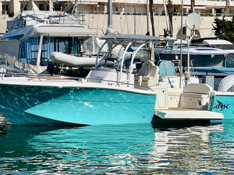 Alquiler Lancha White Shark con o sin  título de navegación