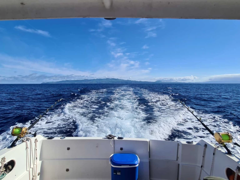 Alquiler de Lancha, con o sin patrón Rodman Ponta Delgada (São Pedro)