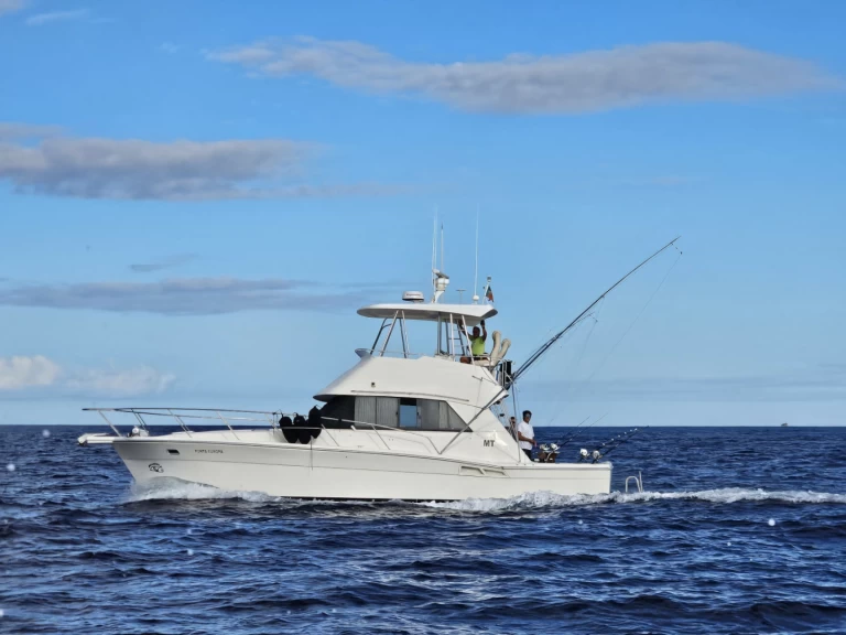 Alquiler Lancha en Ponta Delgada (São Pedro) - Riviera Riviera 39 Open Flybridge