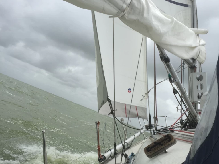 Alquiler Velero en Yerseke - Bénéteau Beneteau First 36.7