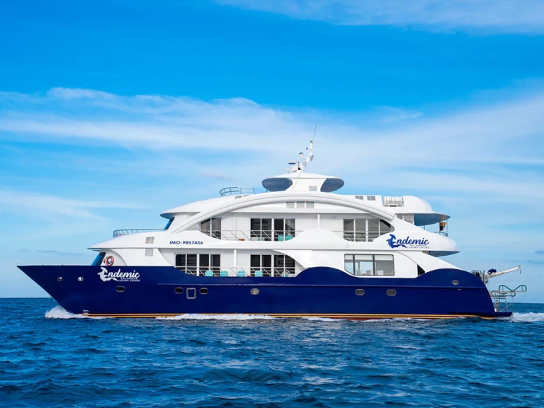 Alquiler de Yate de lujo, con o sin patrón  Baltra Island