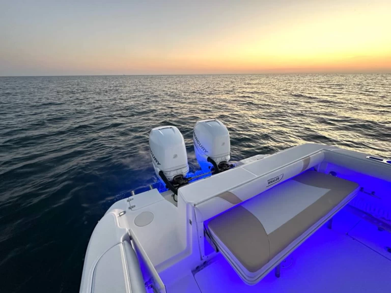 Alquiler Lancha en Ýdra - Boston Whaler Boston Whaler 320 Outrage