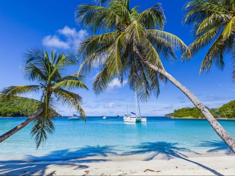 Alquiler Catamarán Lagoon con o sin  título de navegación