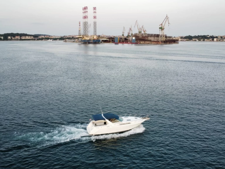 Alquiler Lancha Chris Craft con o sin  título de navegación