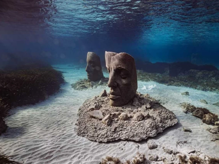 Alquiler Lancha Poseidon con o sin  título de navegación