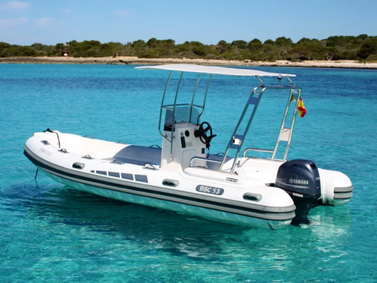 Alquiler de Colzani-Ricambi BSC53 en Fornells